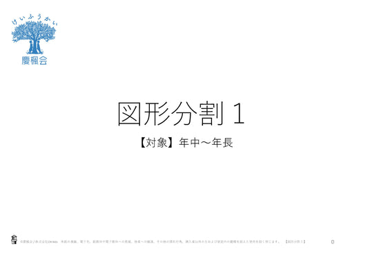 *小受教材_B-10_図形分割1(難問)*ダウンロード教材